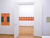 Stephen Bambury, exhibition view: 2012, Olschewski & Behm, Frankfurt