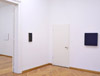 exhibition view: Rolf Rose, 2013, Olschewski & Behm, Frankfurt