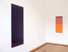 Michael Rouillard, exhibition view: seen / unseen, 2010, Olschewski & Behm, Frankfurt